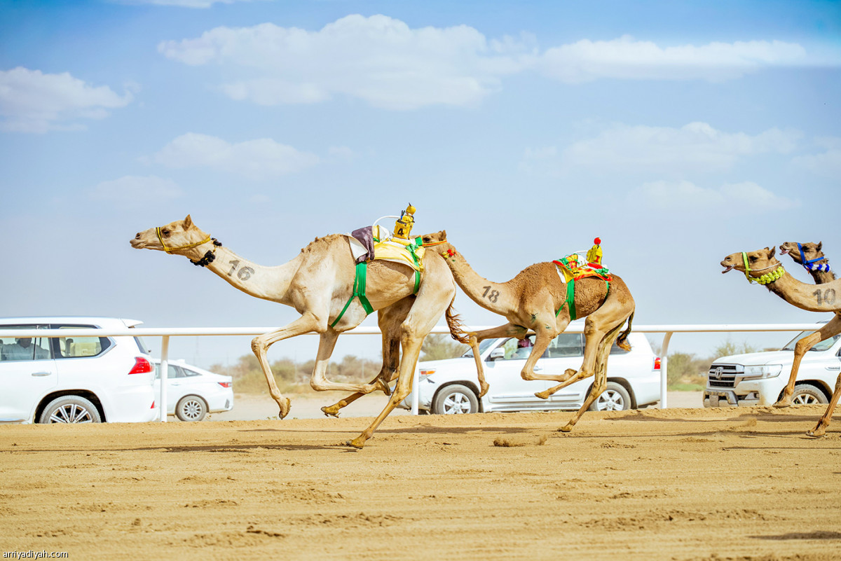 اليوم التاسع