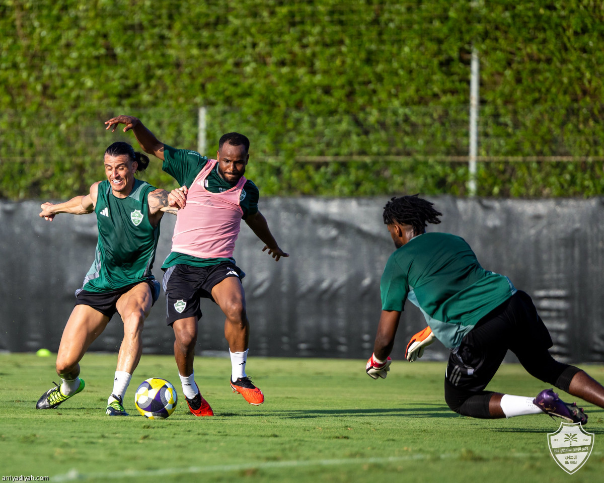 مواصلة التحضيرات