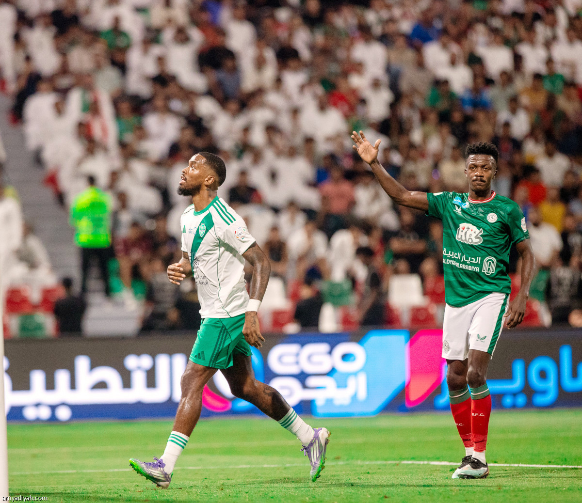 السلبية تطغى