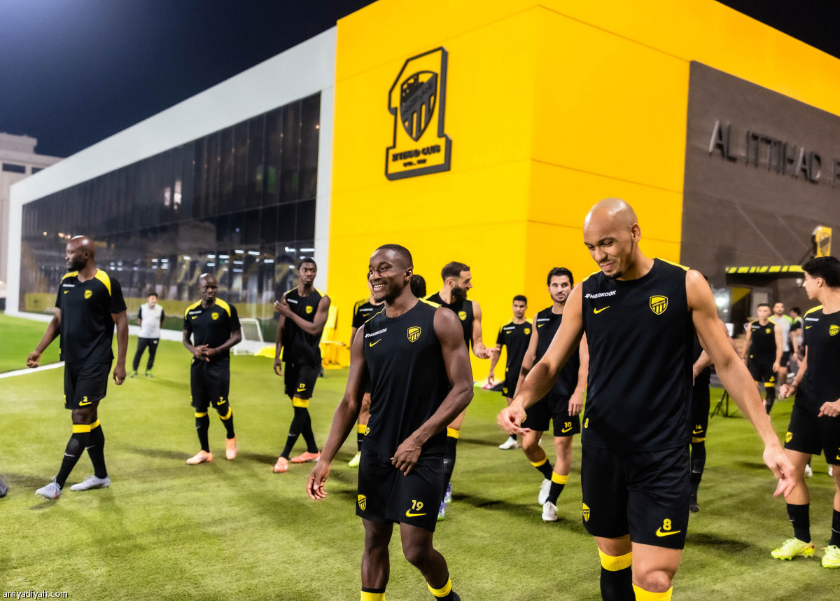 النمور تستعد