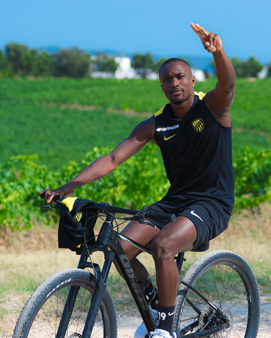 النمور على الدرّاجات