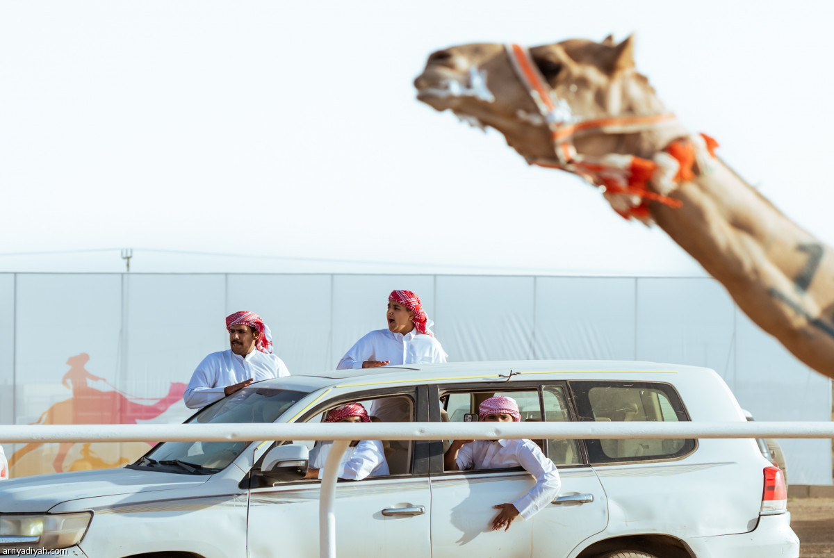 متابعة وترقب